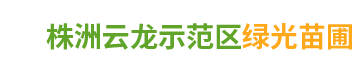 株洲云龍示范區(qū)綠光苗圃_造型羅漢松批發(fā)_株洲造型五針?biāo)蒧黑松